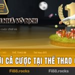 THỂ THAO CMD368